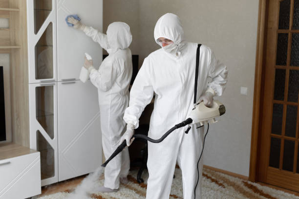 Best Black Mold Remediation in Clarksburg, MD