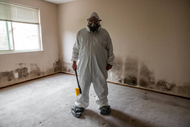 Best Bathroom Mold Remediation in Clarksburg, MD